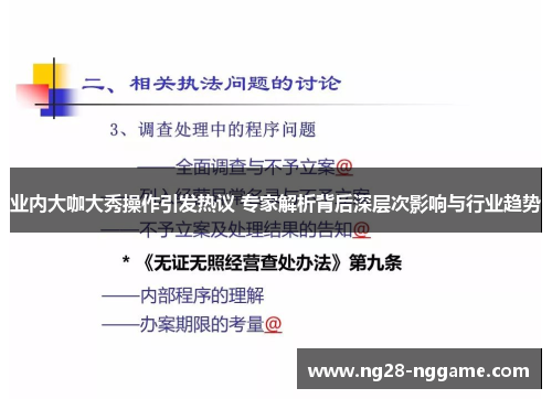 业内大咖大秀操作引发热议 专家解析背后深层次影响与行业趋势