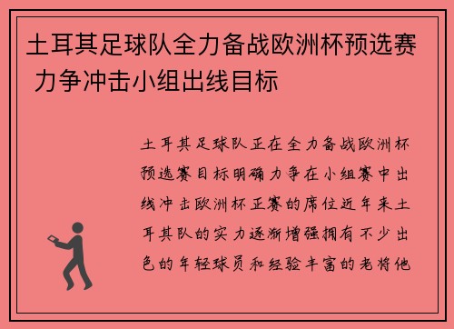 土耳其足球队全力备战欧洲杯预选赛 力争冲击小组出线目标