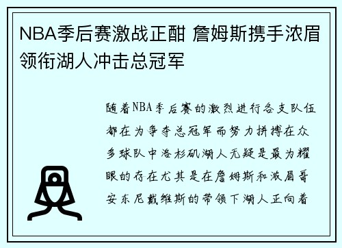 NBA季后赛激战正酣 詹姆斯携手浓眉领衔湖人冲击总冠军